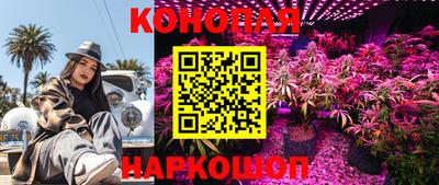 apvp Лесосибирск