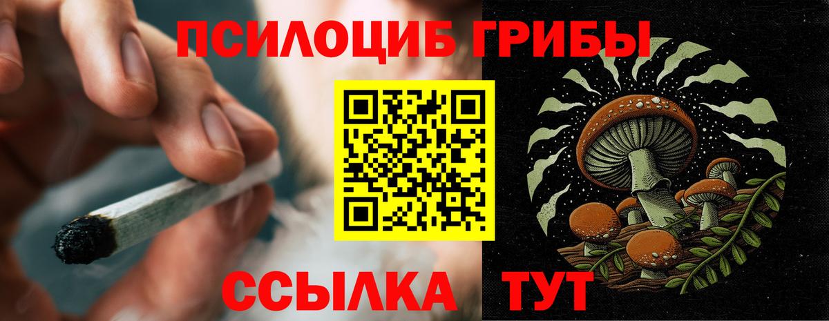 Галлюциногенные грибы Cubensis Выкса