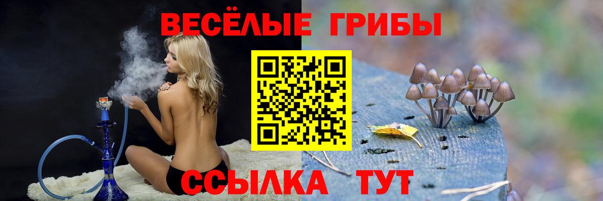 Псилоцибиновые грибы MAGIC MUSHROOMS  Псилоцибиновые грибы ЛСД  Вход с VPN  Выкса 